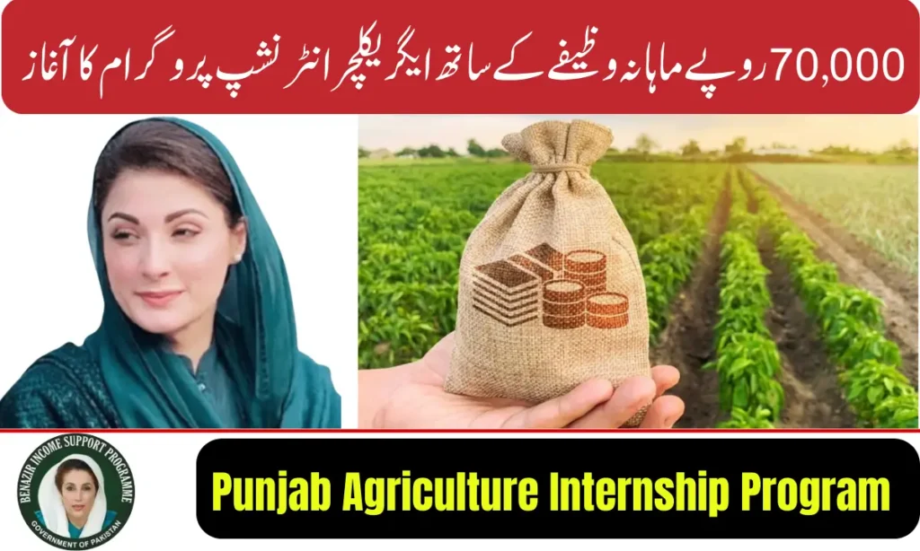 Current image: Punjab Government Launches Agriculture Internship Program