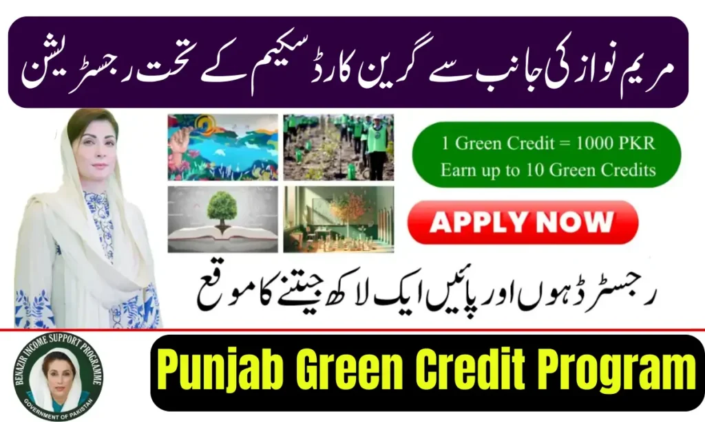 Current image: Punjab Green Credit Program