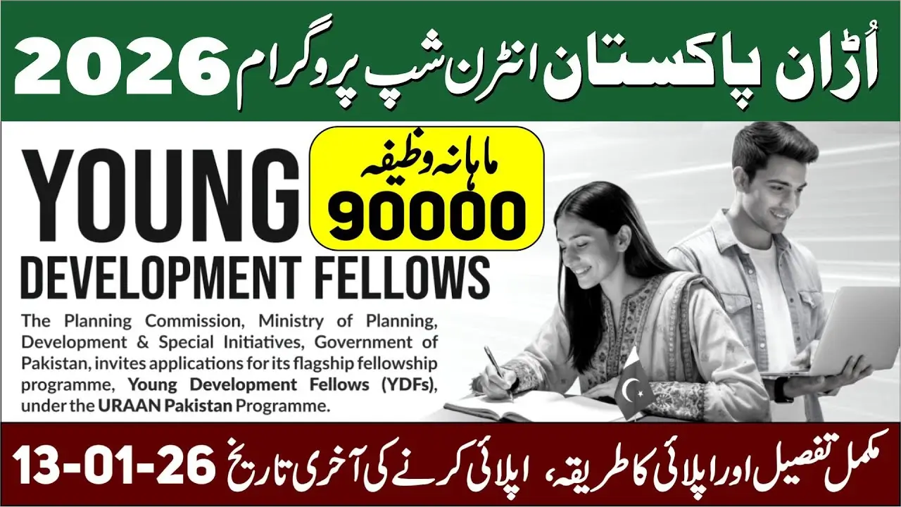 Young Development Fellows Program