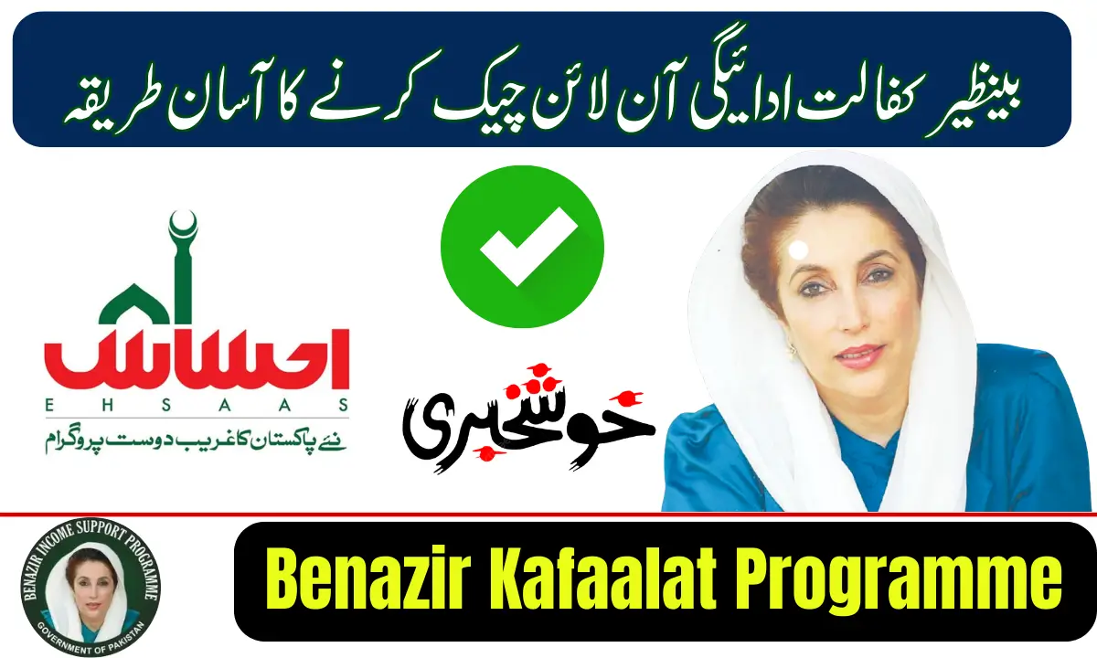 Benazir Kafaalat Programme