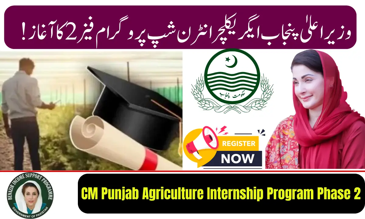 CM Punjab Agriculture Internship Program Phase 2