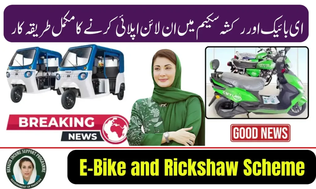 Current image: E-Bike and Rickshaw Scheme