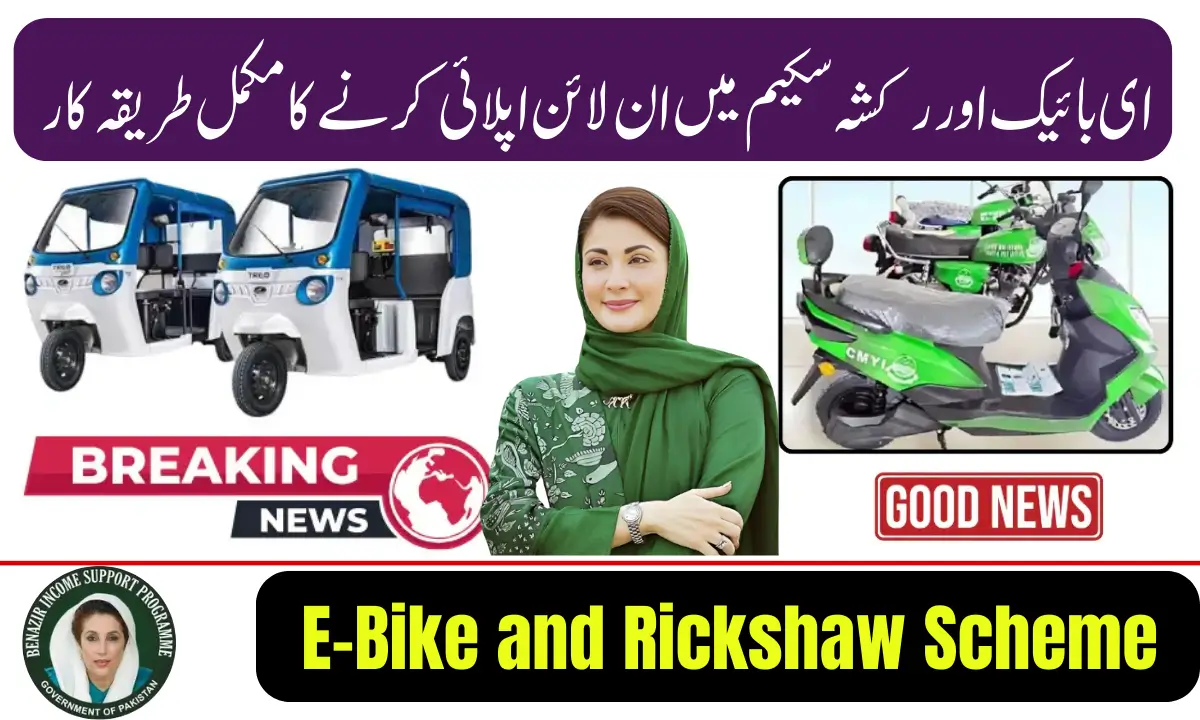 E-Bike and Rickshaw Scheme