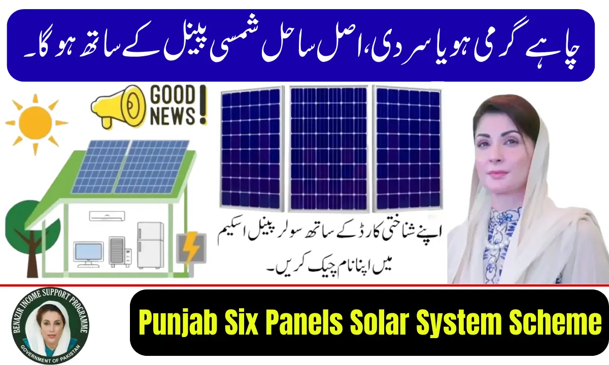 Punjab Government Six Panels Solar System Scheme