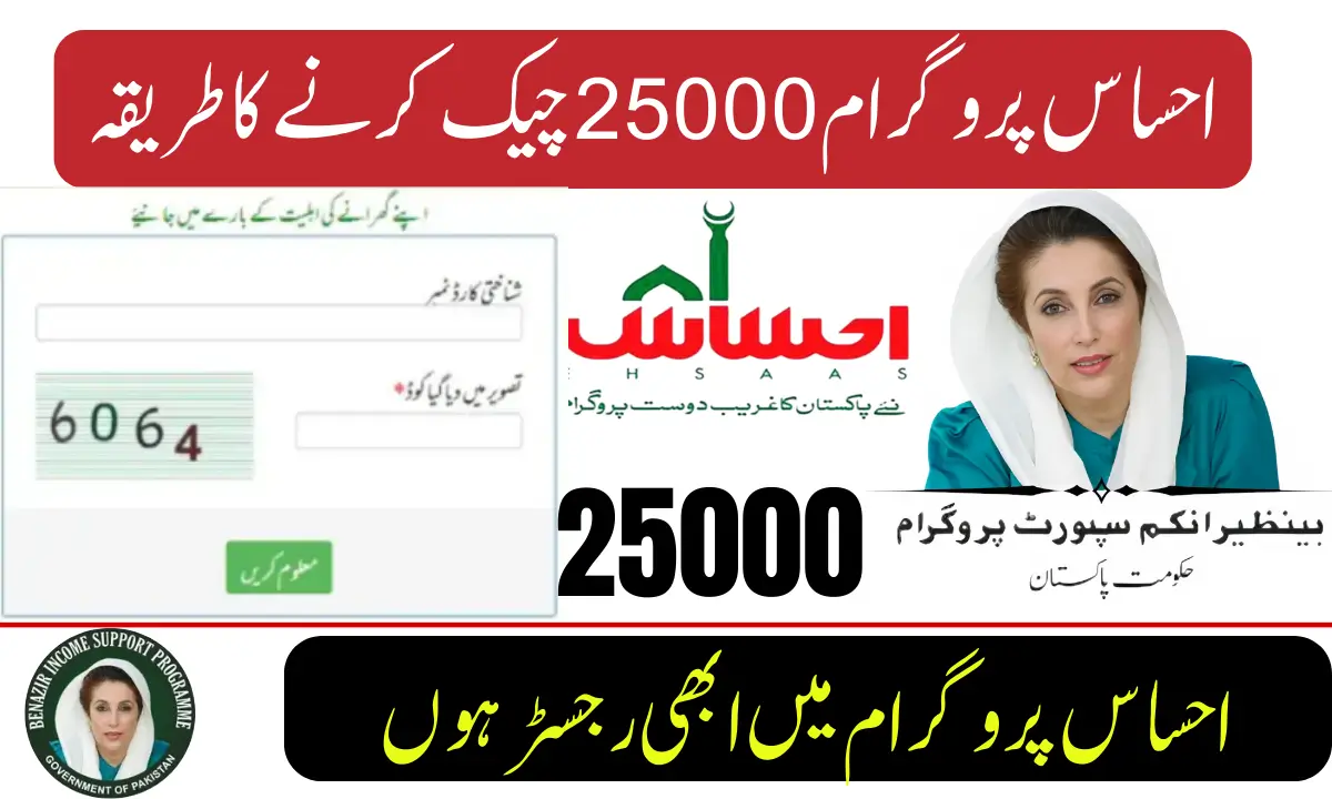 احساس پروگرام 25000 چیک کرنے کا طریقہ